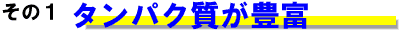 タンパク質が豊富